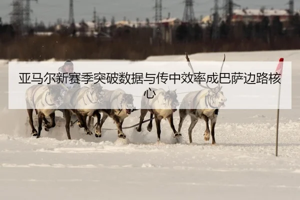 ya-ma-er-xin-sai-ji-tu-po-shu-ju-yu-chuan-zhong-xiao-lv-cheng-ba-sa-bian-lu-he-xin-3-338.jpg