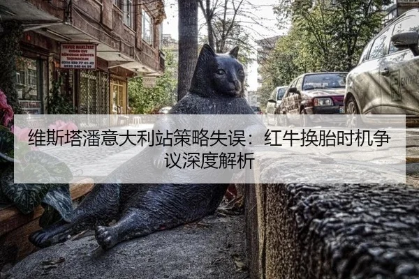 wei-si-ta-pan-yi-da-li-zhan-ce-lve-shi-wu-hong-niu-huan-tai-shi-ji-zheng-yi-shen-du-jie-xi-3-223.jpg
