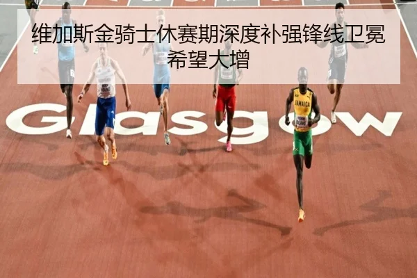 维加斯金骑士休赛期深度补强锋线卫冕希望大增