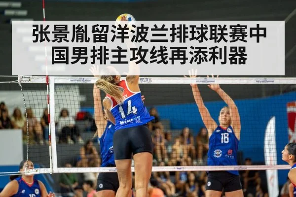 张景胤留洋波兰排球联赛中国男排主攻线再添利器